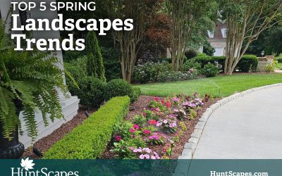 Top 5 Spring Landscaping Trends for Raleigh, NC Homes in 2025