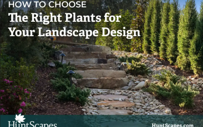 How to Choose the Right Plants for Your Landscape Design