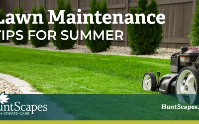Essential Lawn Maintenance Tips for Raleigh, NC Summers